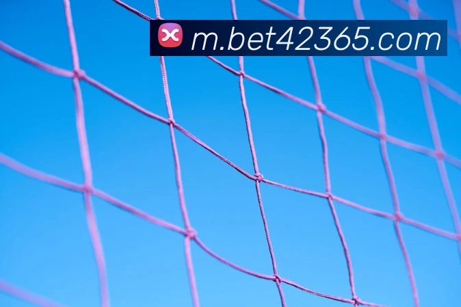 bet365com发展历程